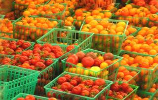 Westerners eat nearly 30 pounds of tomatoes every year, or 15 kg