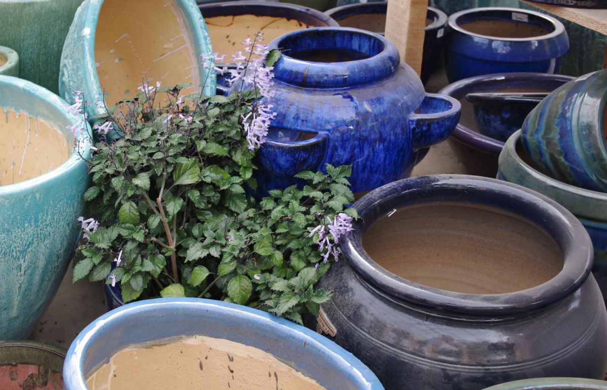 Ceramic retains water best without heating the pot up too much