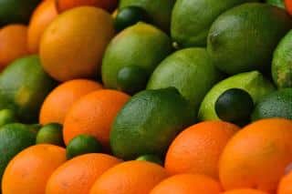 Citrus varieties on display