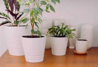 Clean containers for use on a terrace and indoors