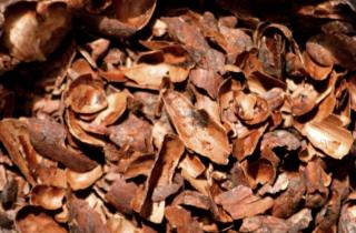 Elegant cocoa hulls make for fragrant home-made mulch