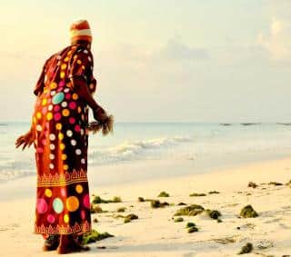 Gathering seaweed on the beach to fertilize eggplant