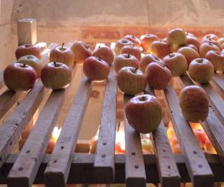 Fruit cellar with apples about to be organized in it