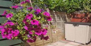 Storage box made of plastic in a garden