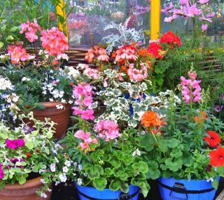 Pots with bright colors decorate a deck