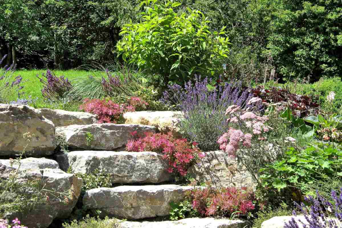 Flowers abound on this low stone wall