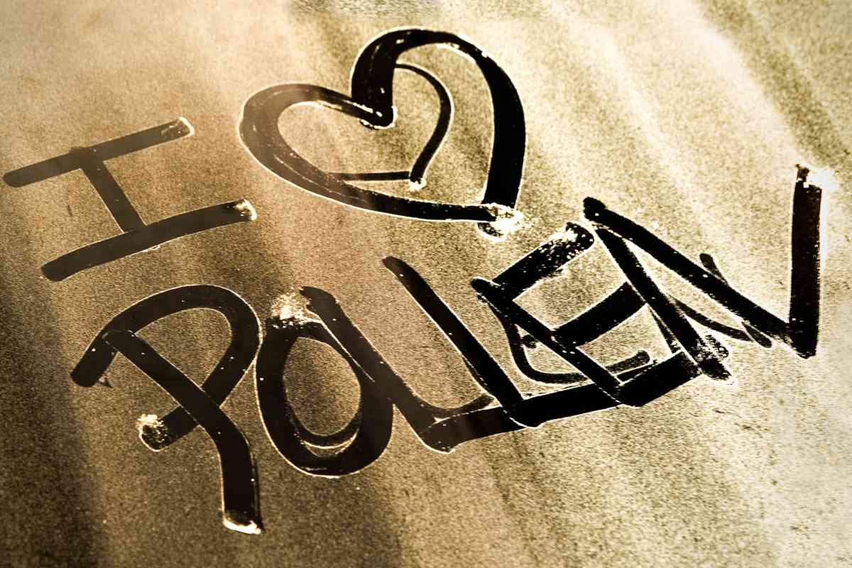 "I love pollen" written in pollen dust
