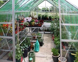 The greenhouse remains the most effective form of winter shelter for plants