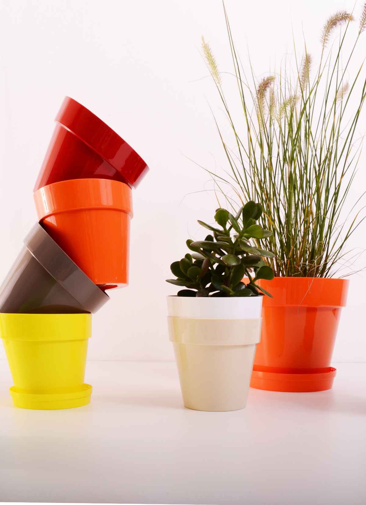 Plastic pots are affordable and don't get too hot