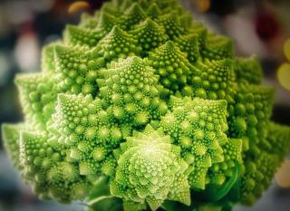 Romanesco cabbage is an heirloom variety