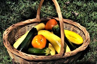 Heirloom vegetables in a basket, fresh harvest