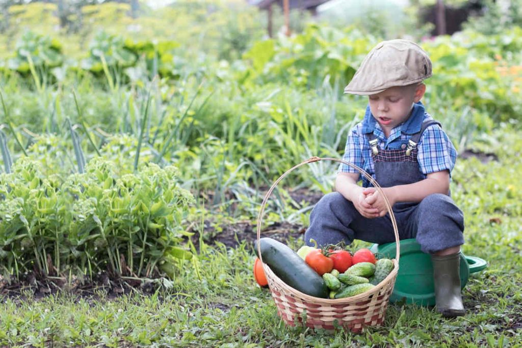 Permaculture basic principles - nature teacher