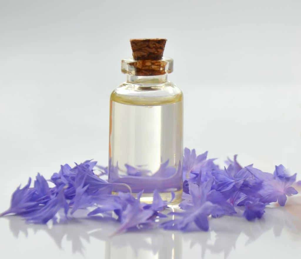 Cornflower health benefits treats eye irritations, digestion and skin