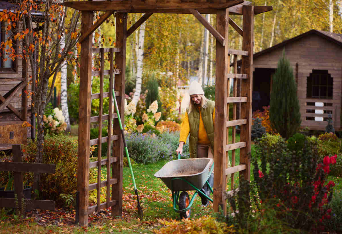 gardening autumn november