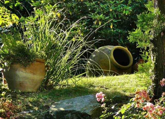 Landscaping with grasses