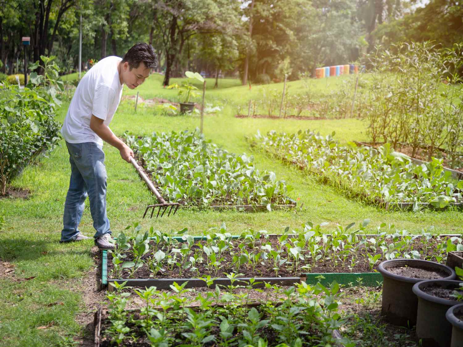 What is organic gardening exactly?