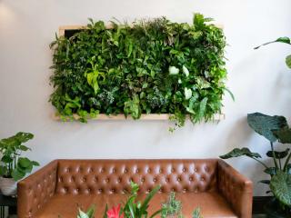 Indoor and outdoor plant wall