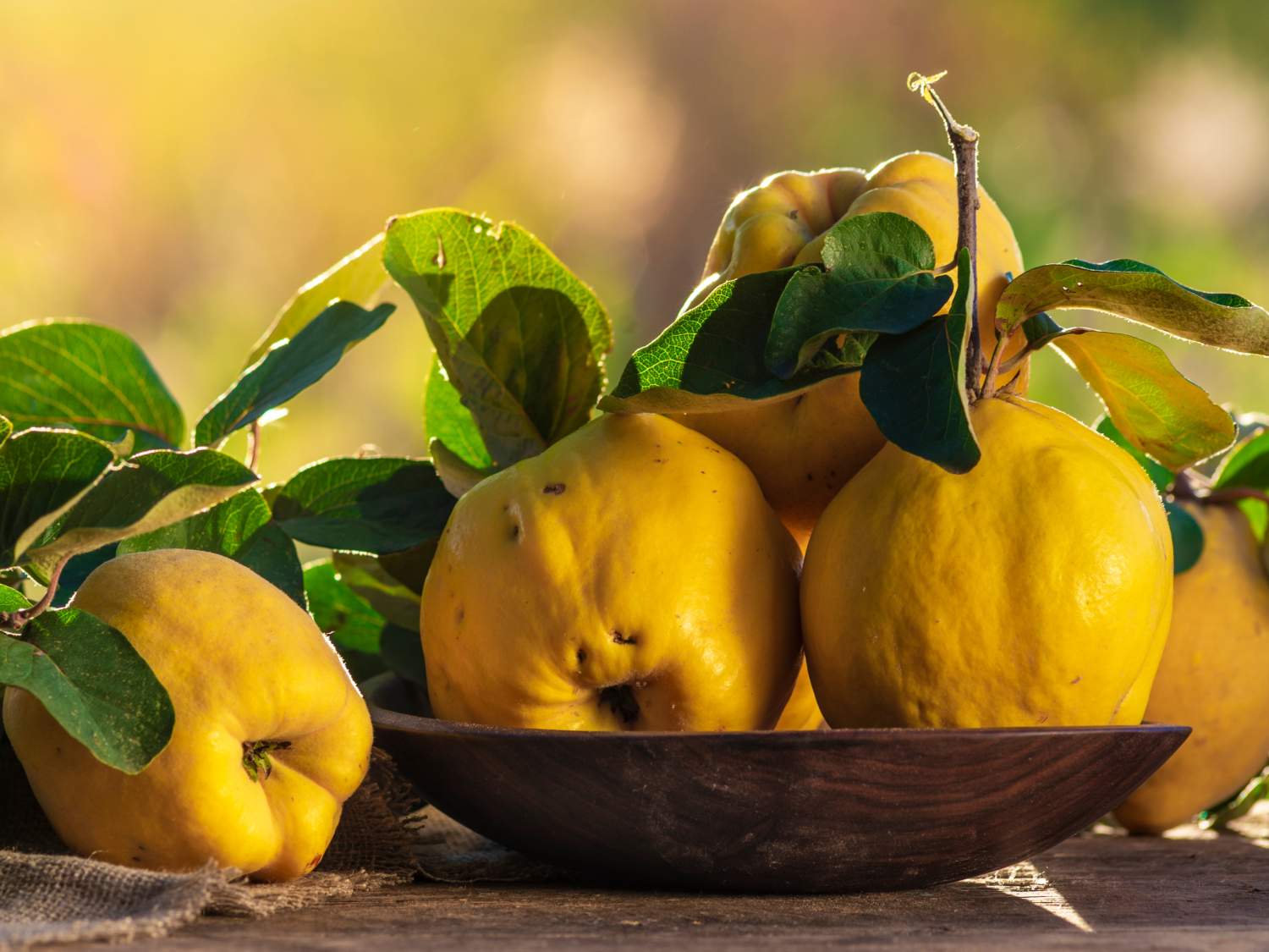 Quince benefits