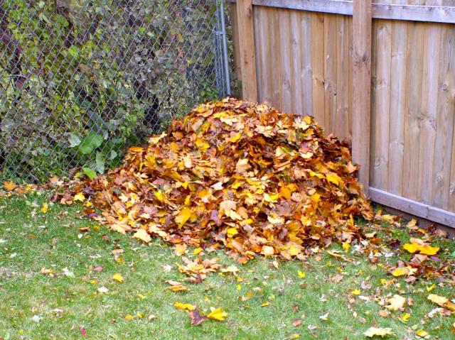 Dead leaves recycled into compost
