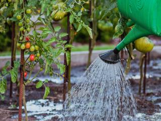 Garden and watering