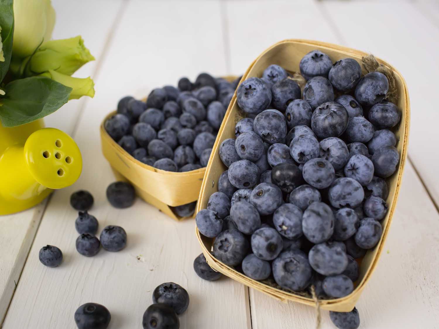 Health benefits of bilberry