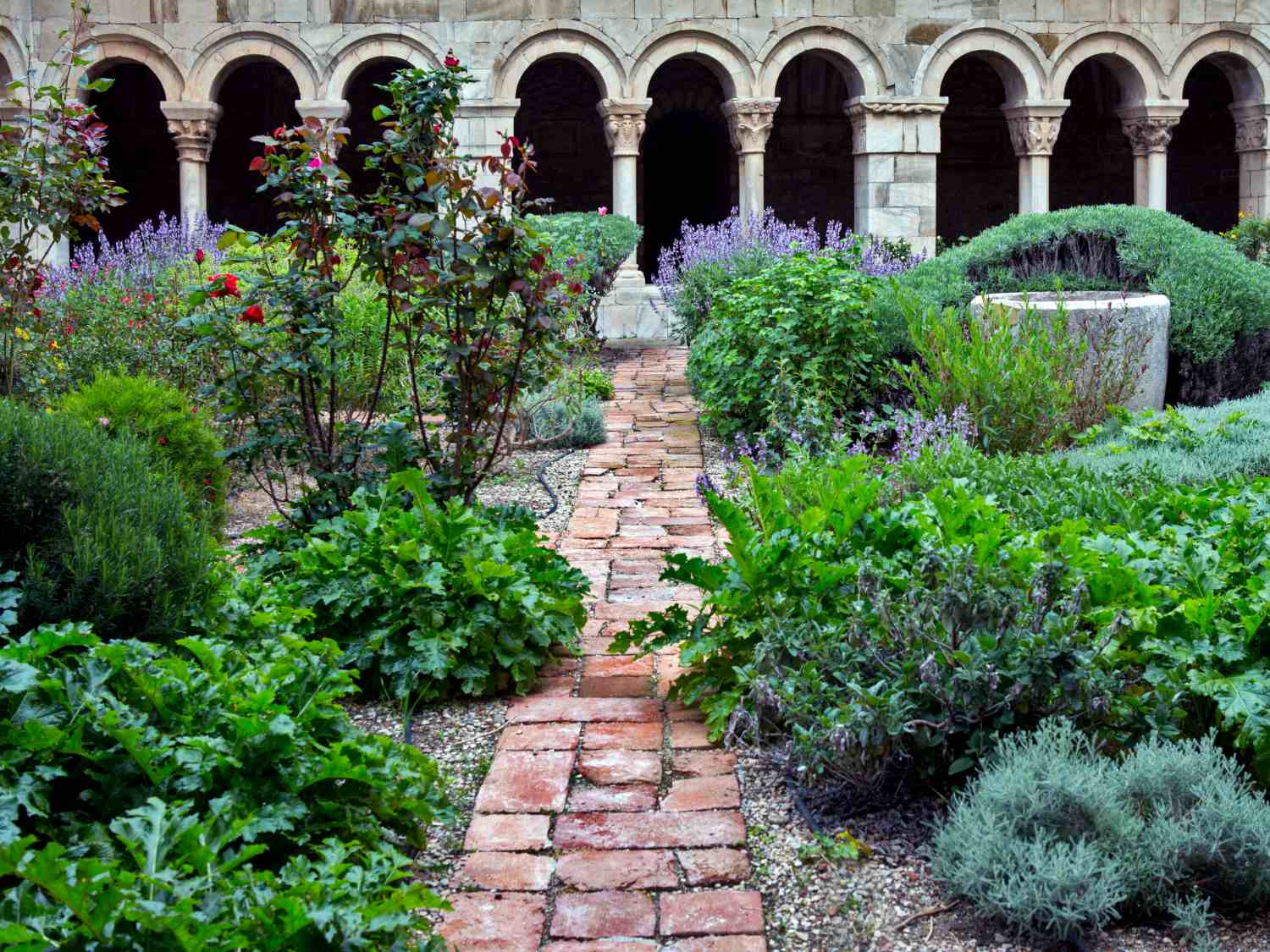 Cloister garden