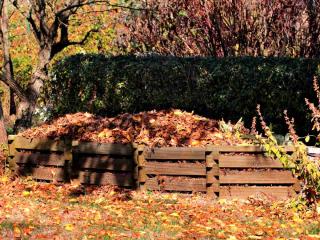 compost pile