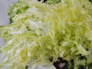 How to blanch curly endive