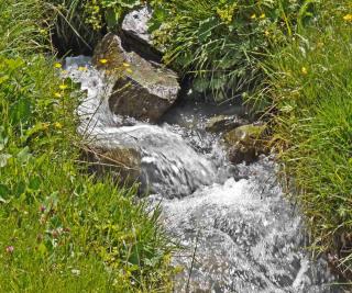 Find water dowsing