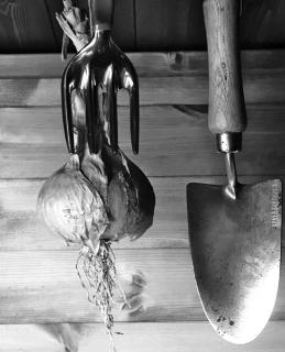 environment friendly garden tools