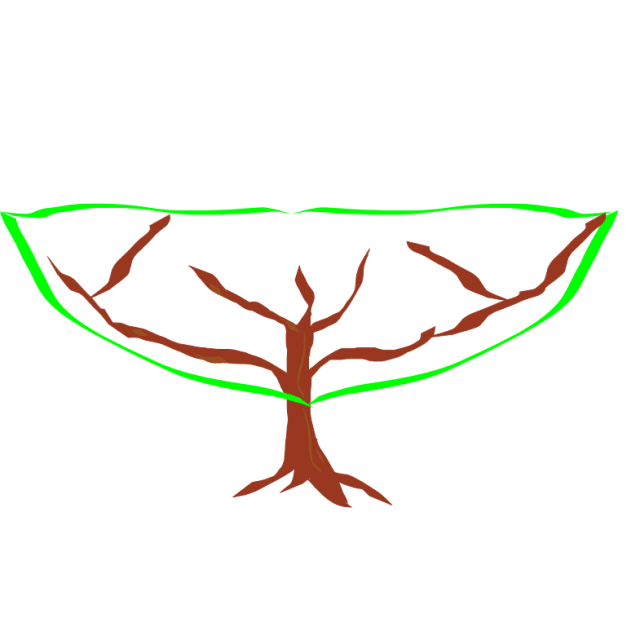 Shape for pruning finger lime