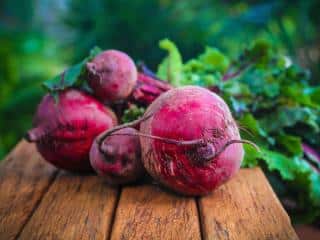 Growing red beet for its benefits