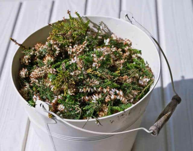 Fertilizer for heather