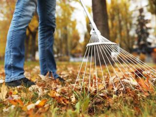 Lawn care september