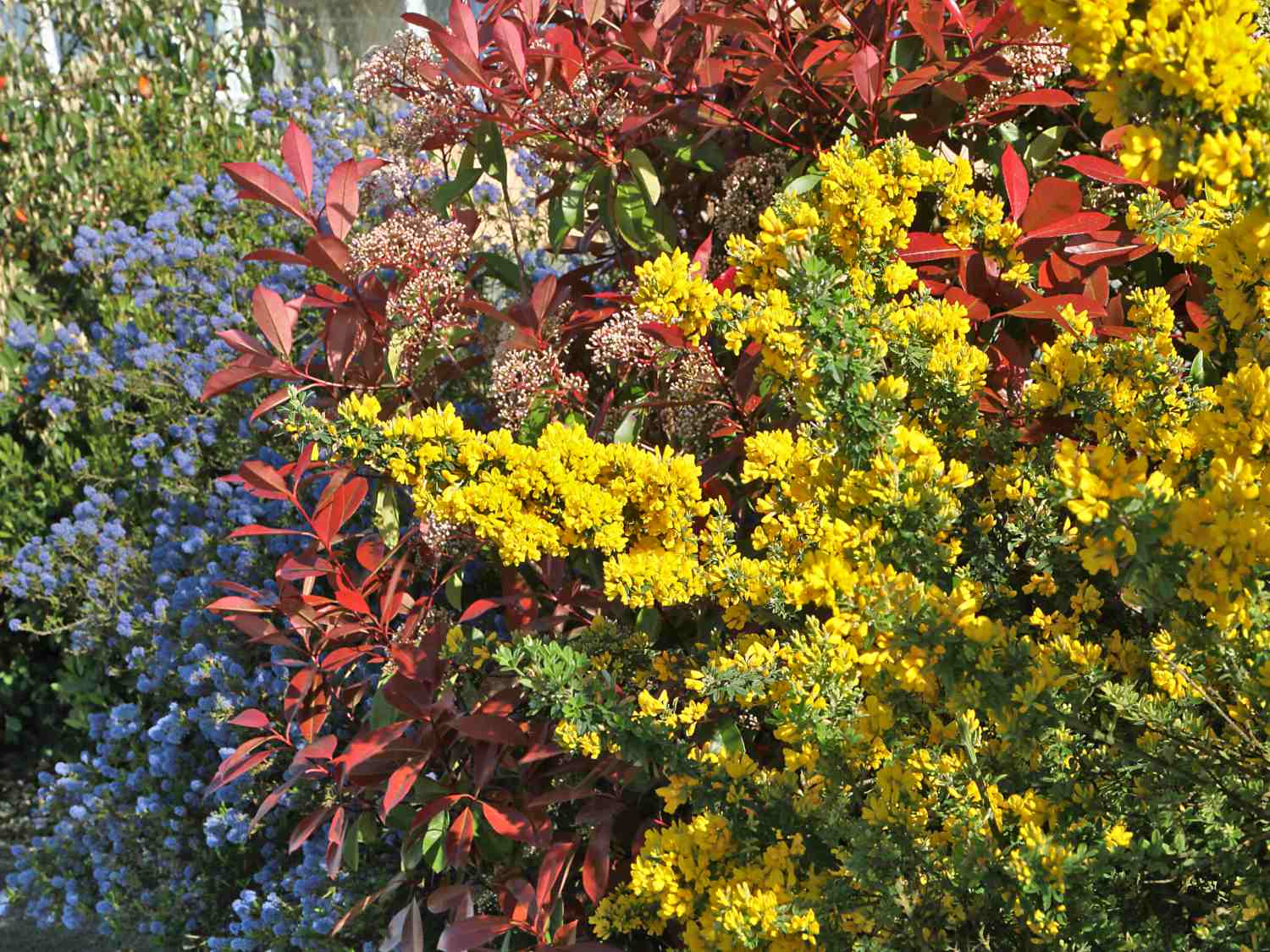 Mixed hedge, what is it