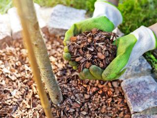 Mulching and mulch