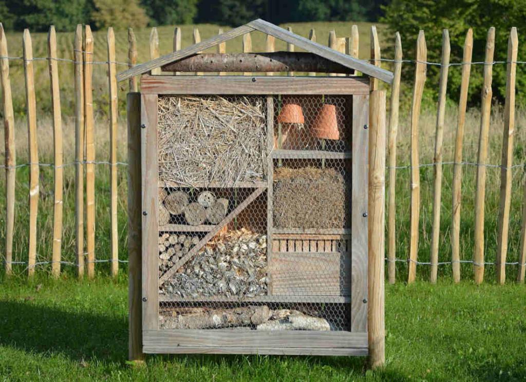 provide insect bird animals with shelter