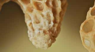 royal jelly heal winter ailments