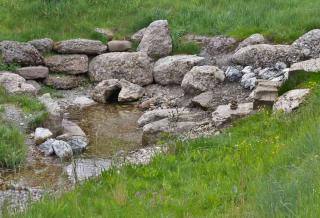 Dowsing to set up a garden