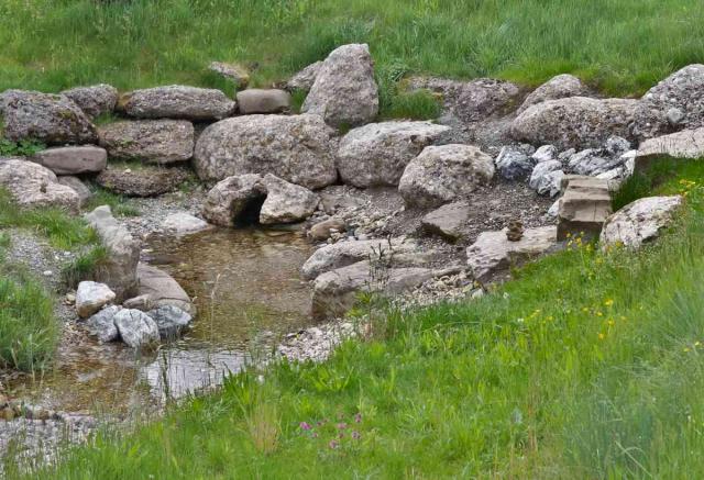 Dowsing to set up a garden