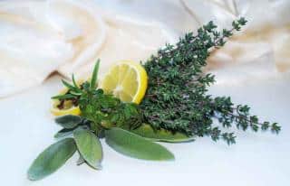 Cooking thyme benefits