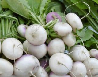 Turnip benefits