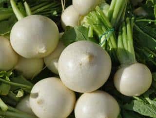 Cooking turnip benefits