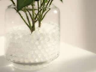 Different types of hydrogels for plants