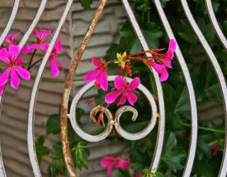 Wrought iron garden item