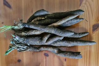 Black salsify - cooking