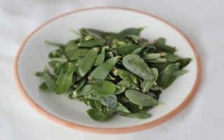 Eating purslane