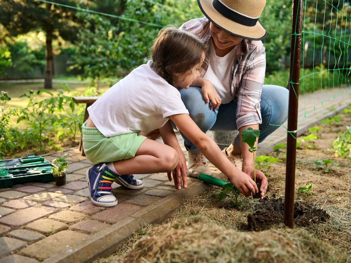 Gardening tasks for june