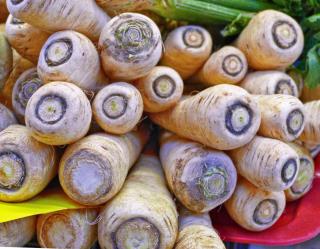 Keeping parsnip harvest