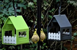 Bird house food dispensers